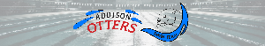Addison Otters Swim Team