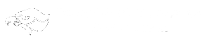 Bethel Park Recreation Swim Team