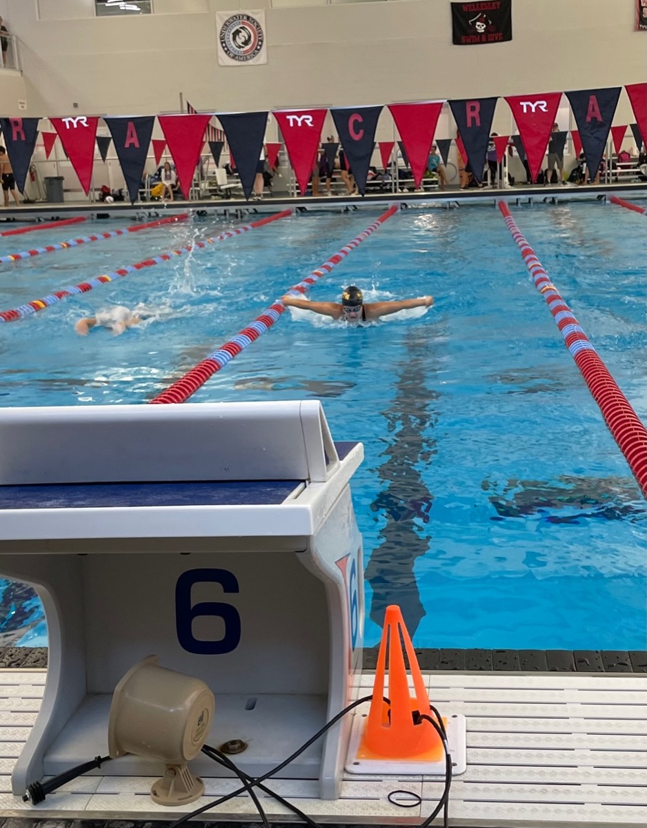 albany-starfish-swim-club-home