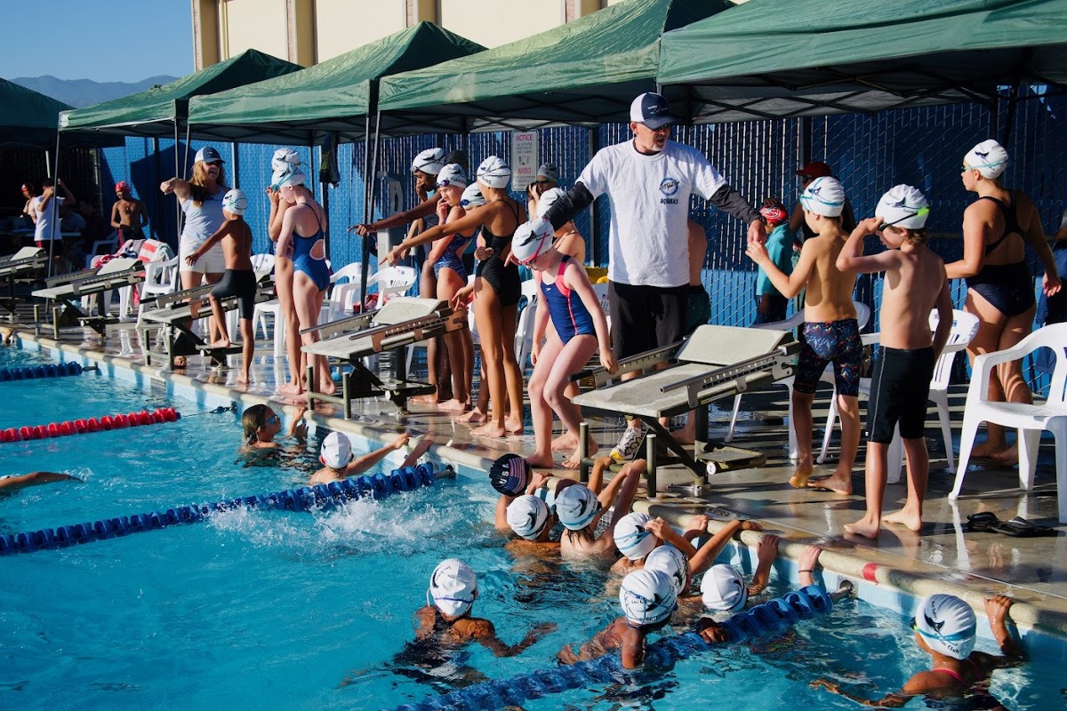 Los Gatos Swim Club Home
