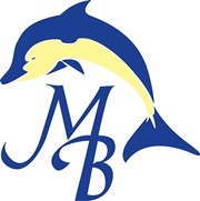 Manhattan Beach Dolphins