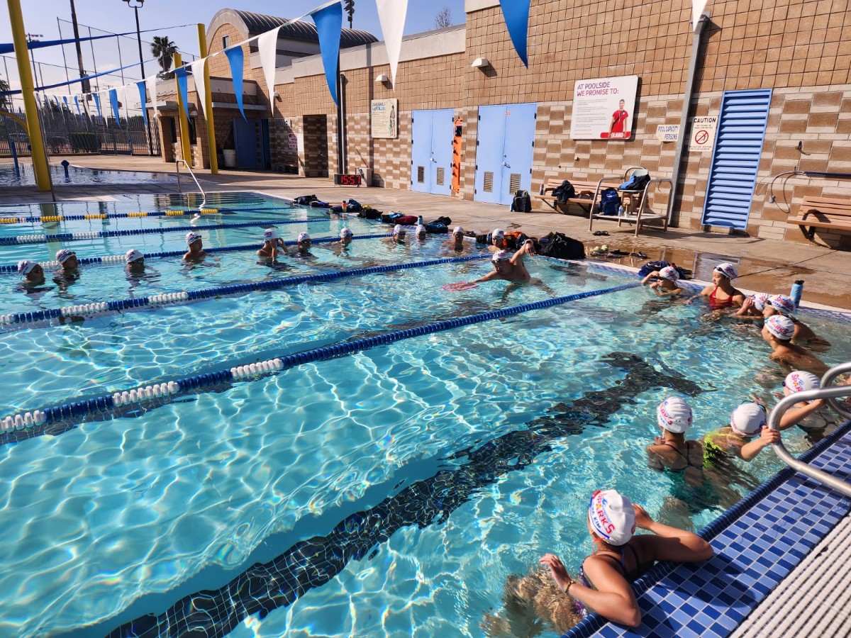 Maywood Sparks Swim Team Home