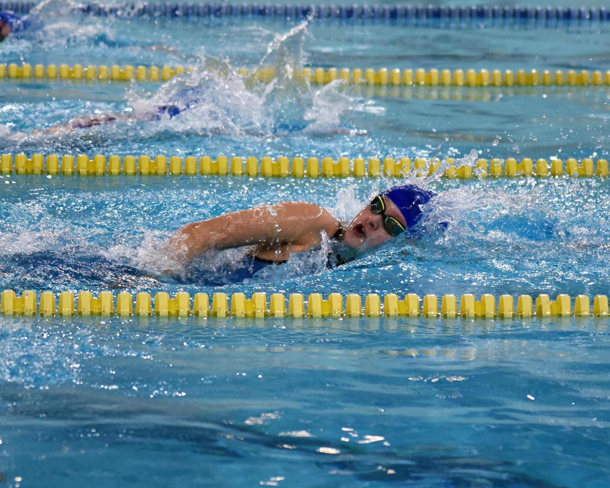 Carleton Place Water Dragons Home