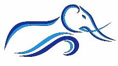 St Thomas Jumbo Jets