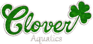 Clover Aquatics