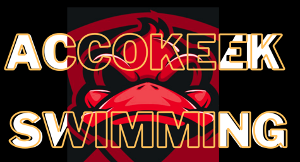 Accokeek Stroke Technique Swim Team