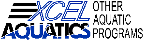Excel Aquatics Lessons Program