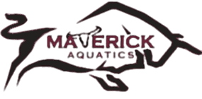 Maverick Aquatics