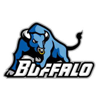 Image result for university of buffalo logo