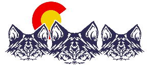 Aquawolves Swim Team