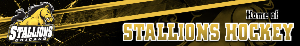 Chicago Stallions Hockey