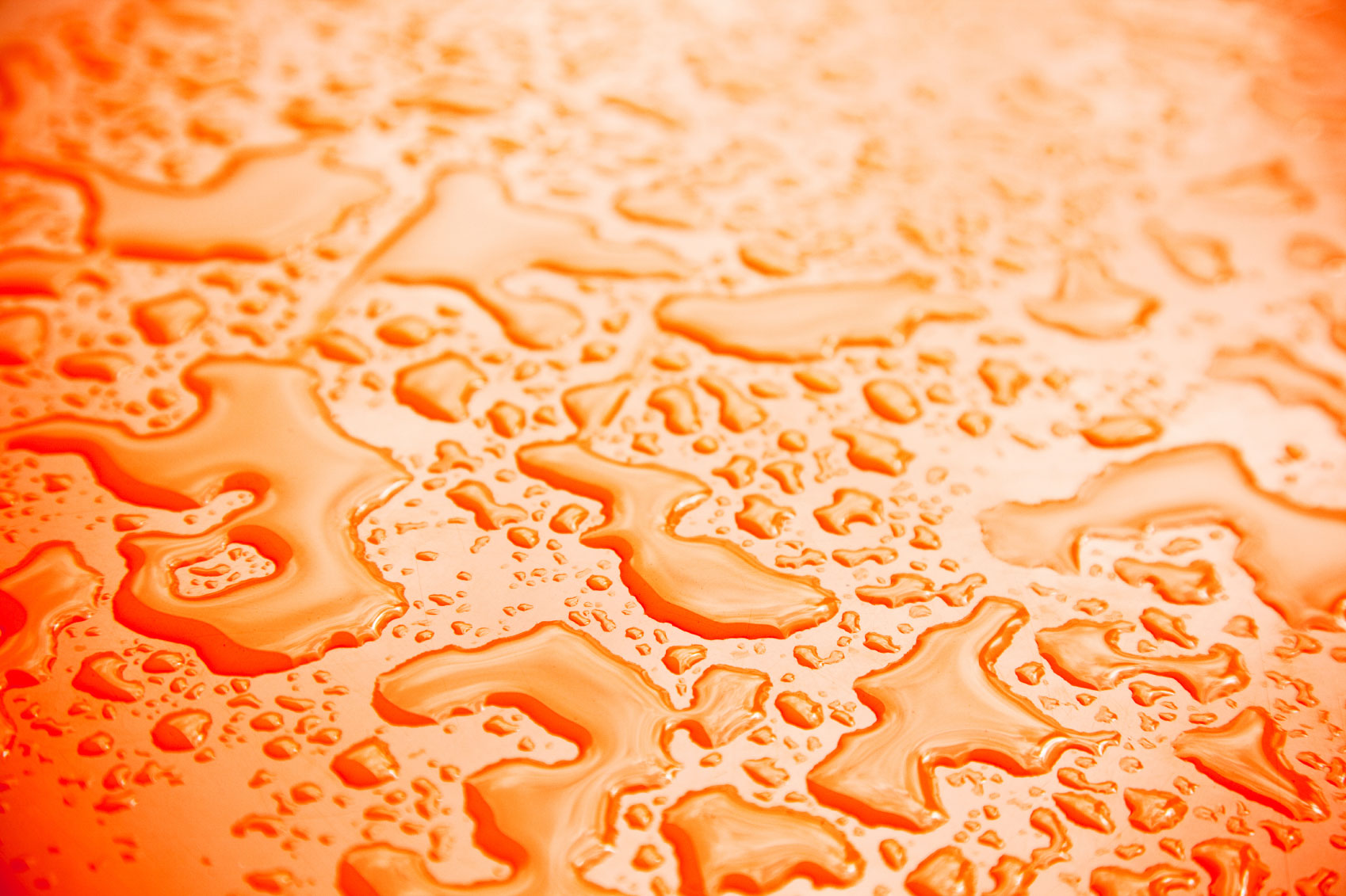 Winslow Bay Wahoos Swim Today