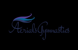 Aerials Gymnastics