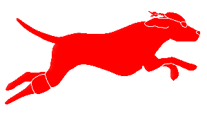 Cheshire Y/Sea Dog Swim Club