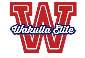 Wakulla Elite Cheer