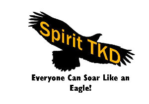 Iowa Spirit Taekwondo