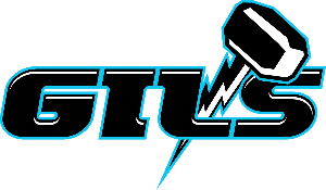 GILS - Great Illinois Swimmers