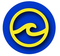 B.R. Ryall YMCA Swim Team