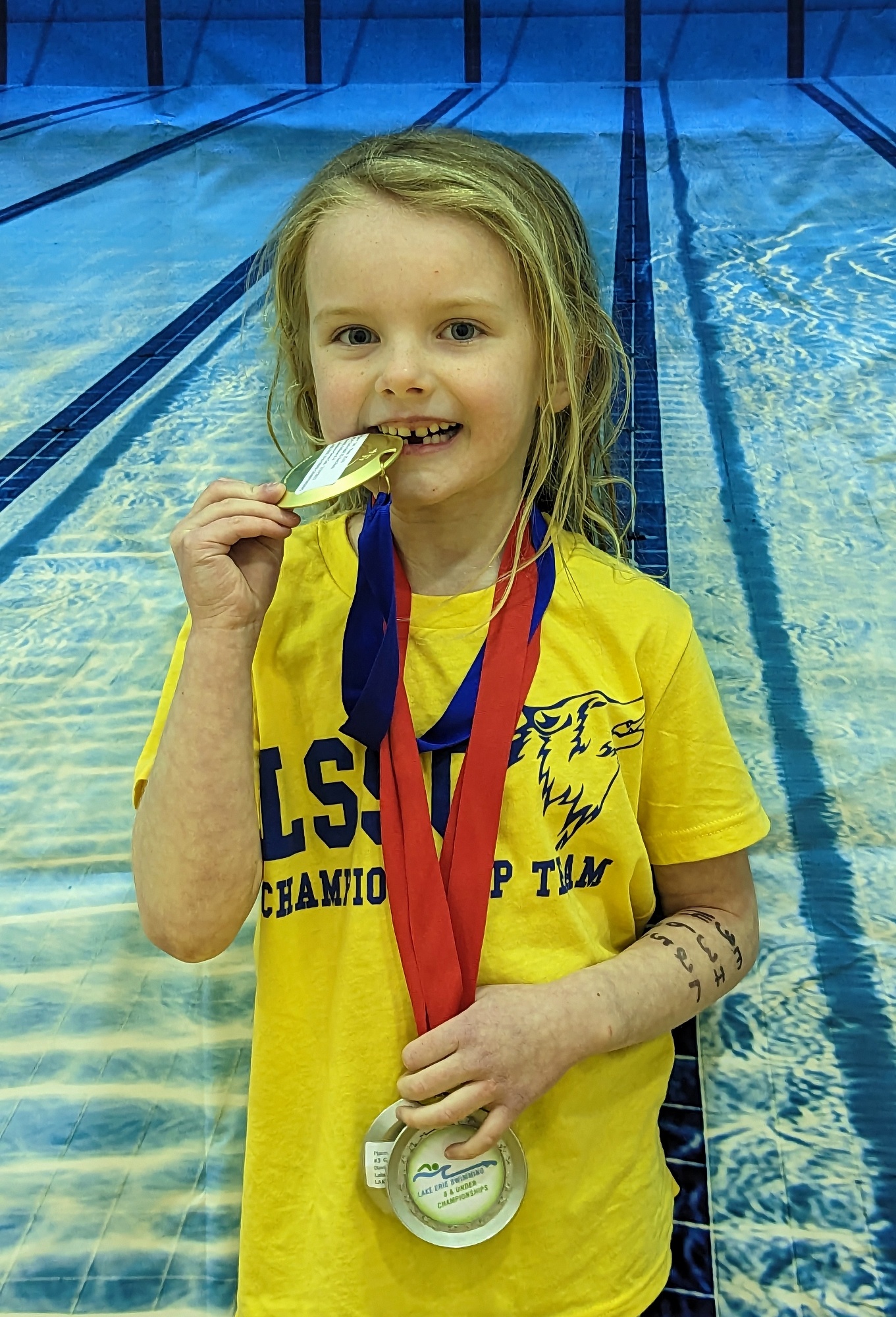 Lake Shore Swim Club Home