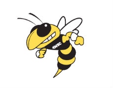 The 4M Swim Club 4MSC