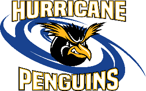 Hurricane Penguins Swim Club