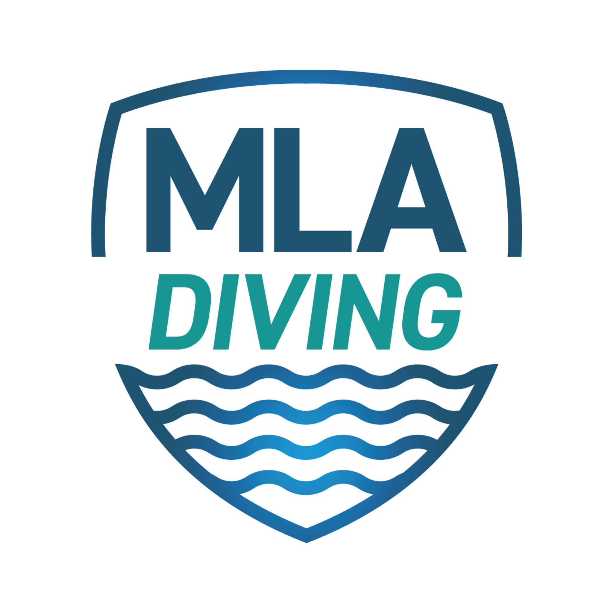 Michigan Lakeshore Aquatics - Diving - Team Records