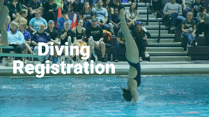 Diving registration is currently closed