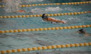 West Islip Swim Club Home