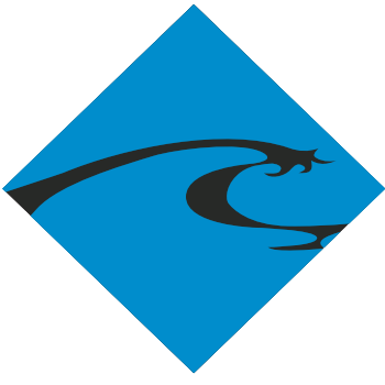 Waves of Wilmington Swim Team