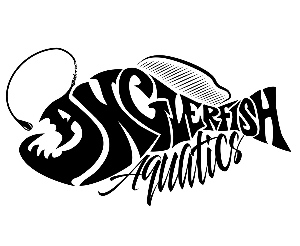 AnglerFish Aquatics