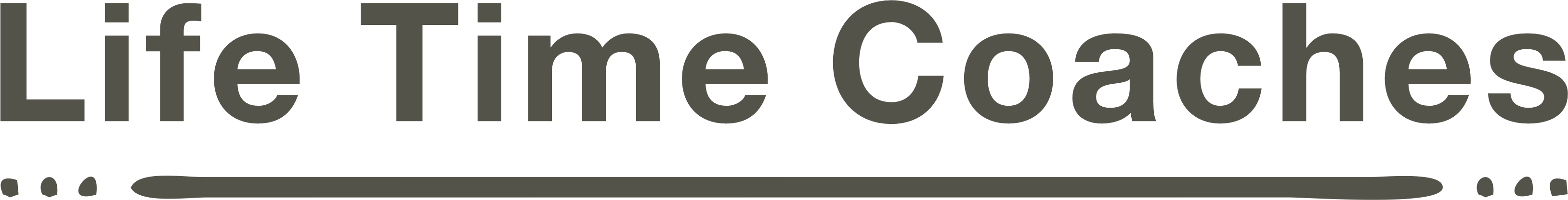 Life Time Coaches