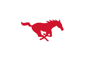 Dallas Mustangs