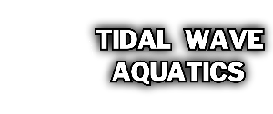 Tidal Wave Aquatics