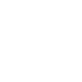 Mavericks Swimming Association