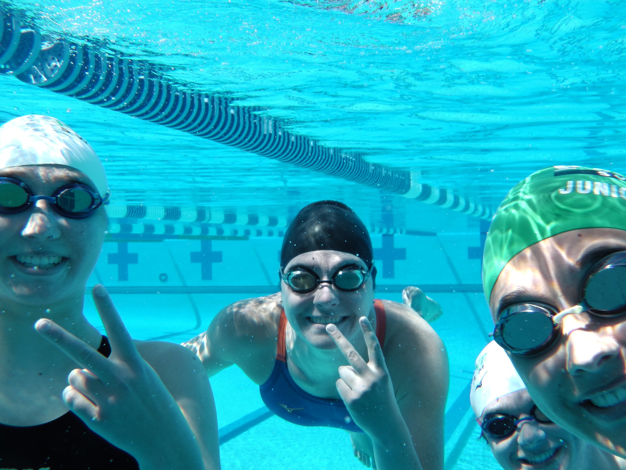 Piedmont Swim Team Home