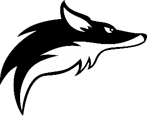 Fairfax Foxes Swimming