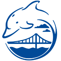 Bay Area Dolphins