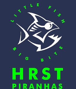 Hollow Rock Swim Team