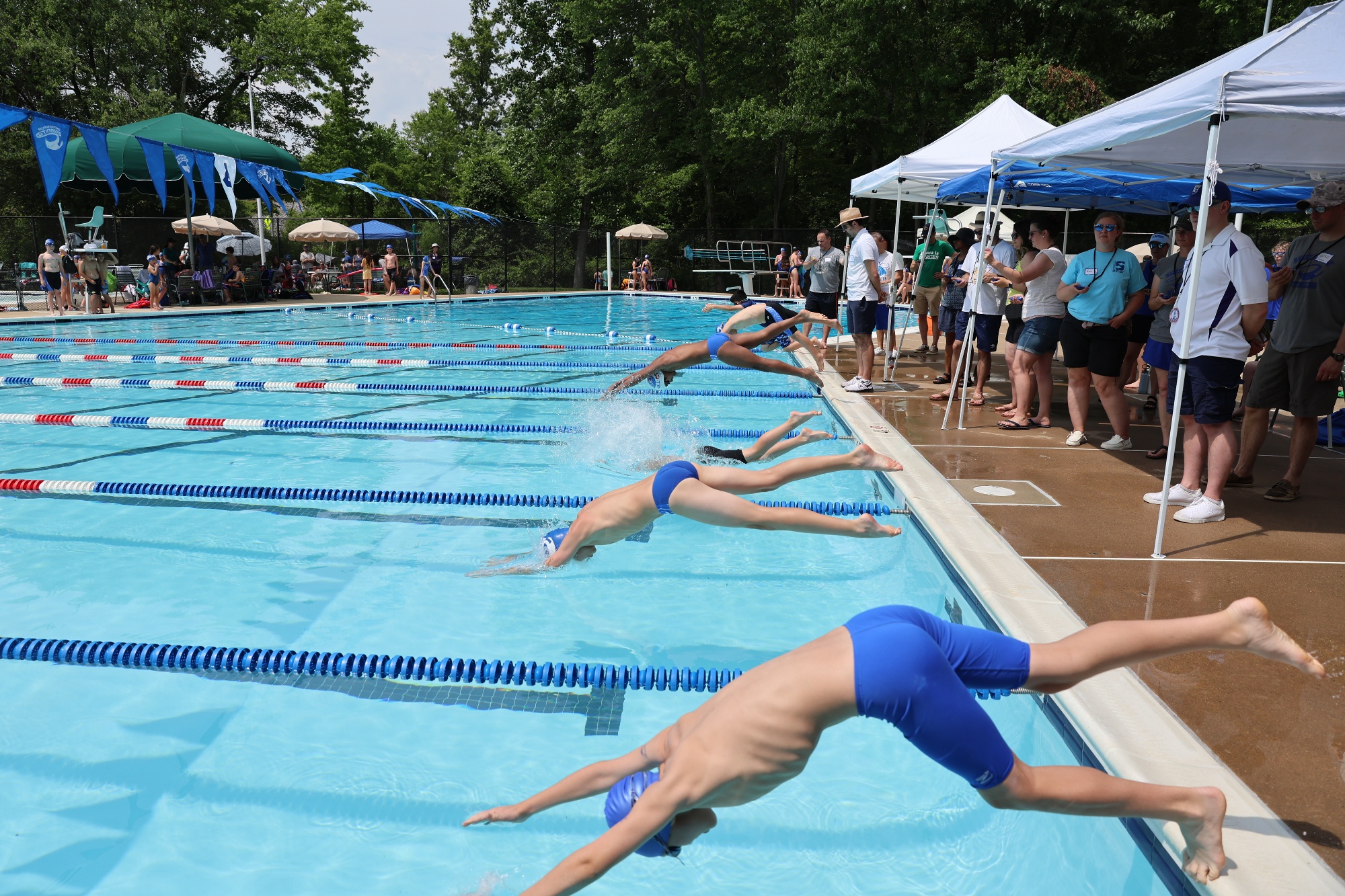 Burke Centre Stingers Home