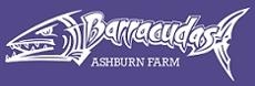 Ashburn Farm Barracudas