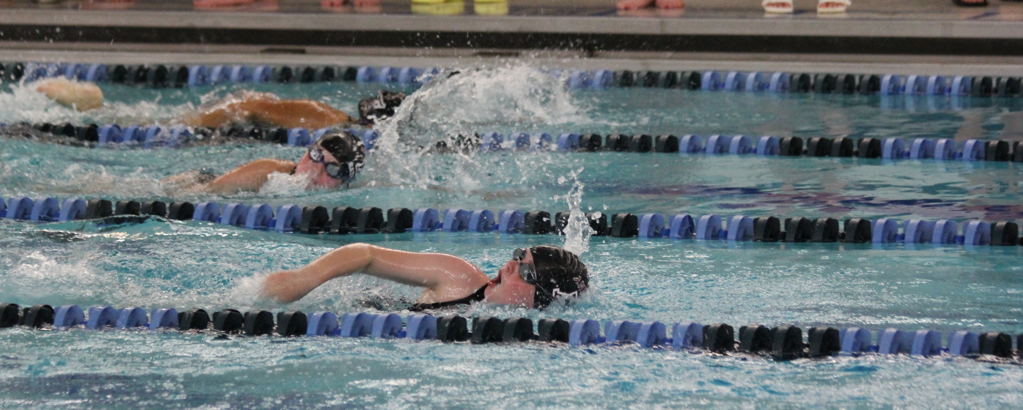 Anoka High School Swim and Dive Home