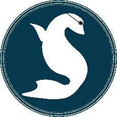 Harlingen CISD SEAL Team