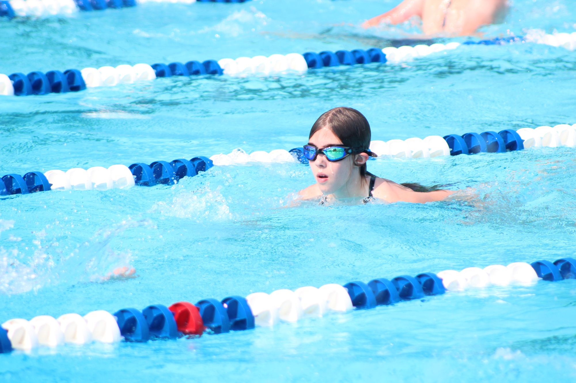 Manchester Swim Team Home