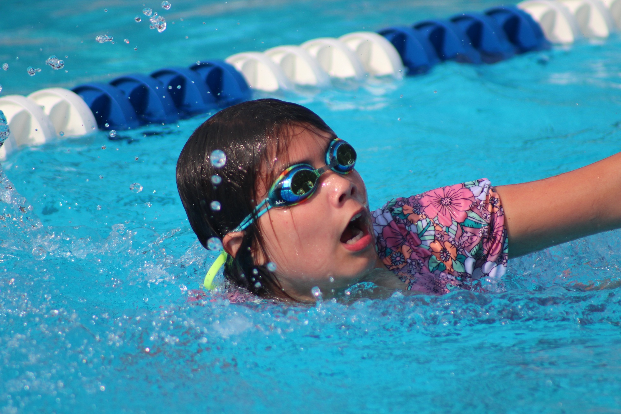 Manchester Swim Team Home