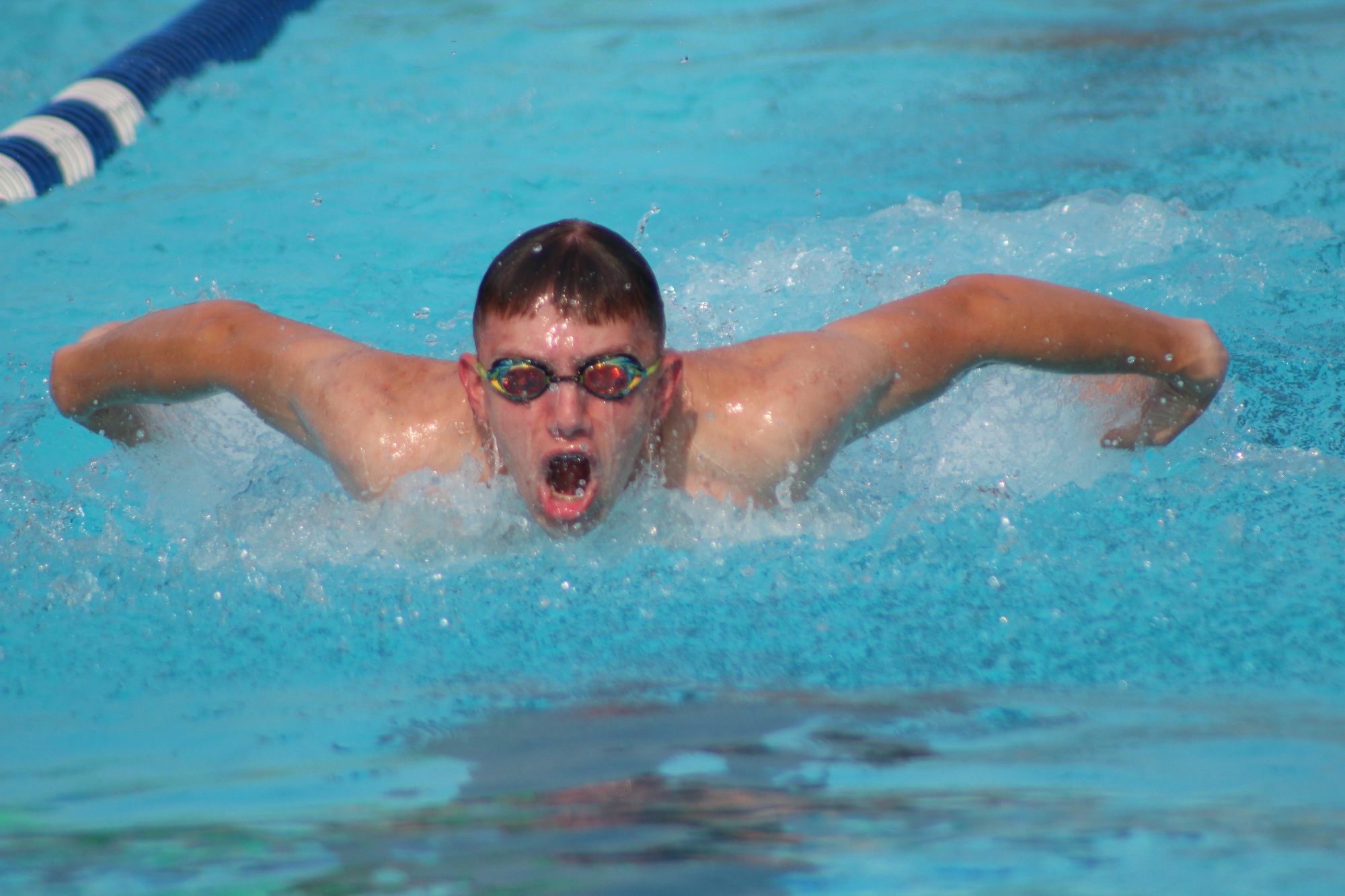 Manchester Swim Team Home