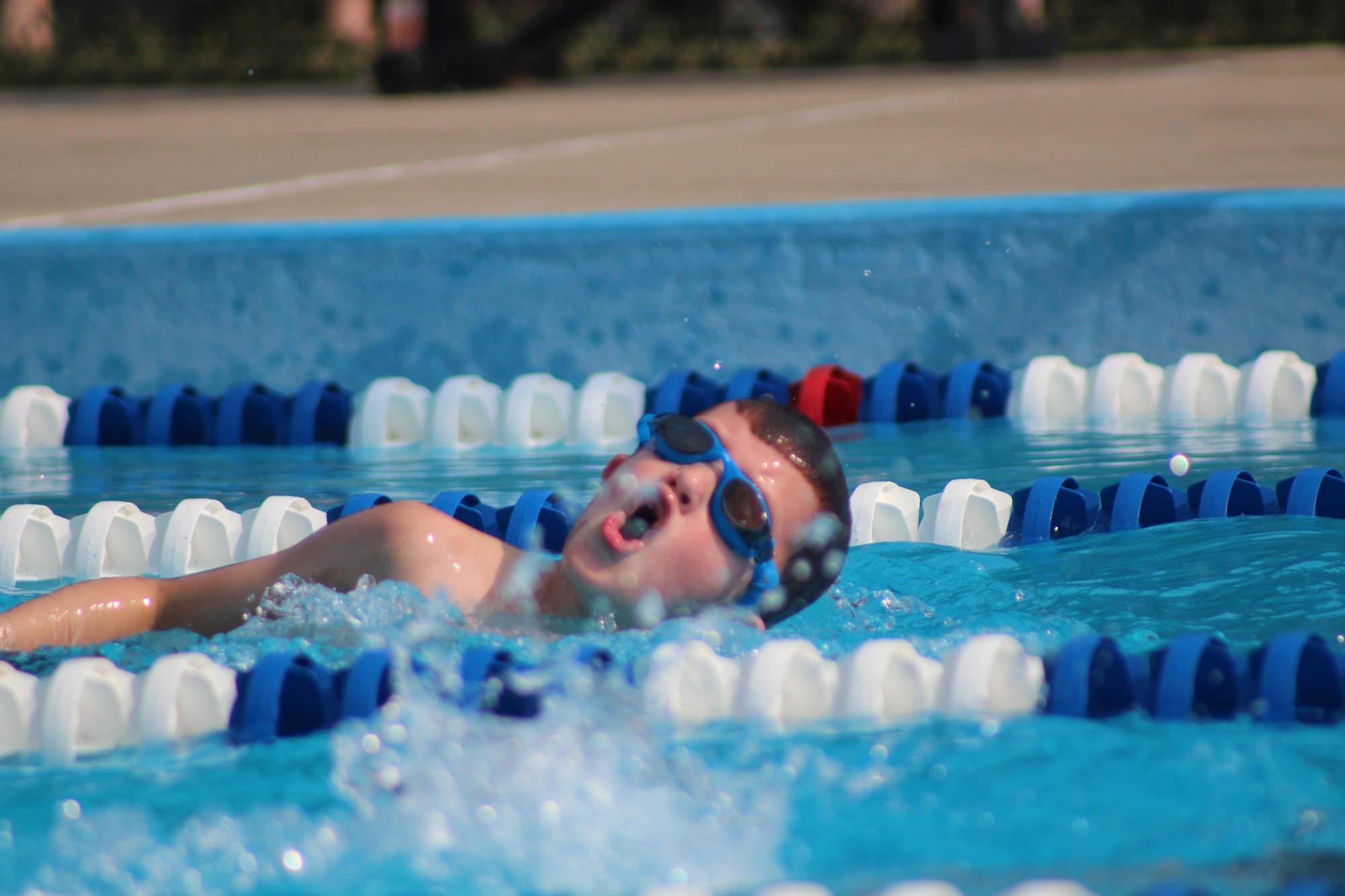 Manchester Swim Team Home