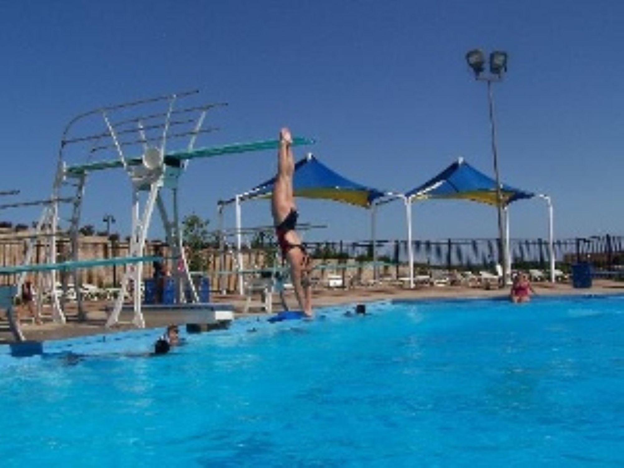 Merriam Dolphins Swim and Dive Home