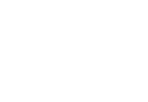 Lake Linganore Dolphins