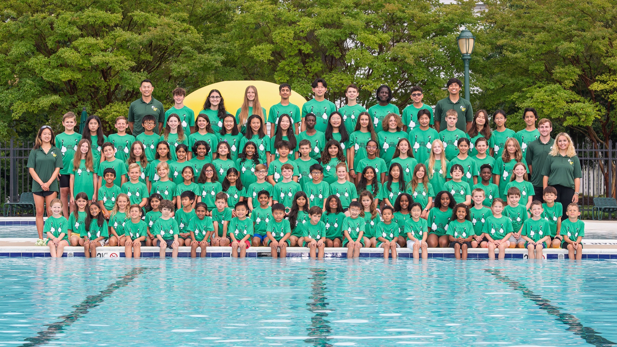 King Farm Screamin' Geese Home