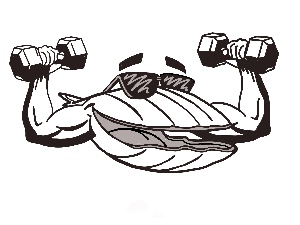 Potomac Swim and Dive Team